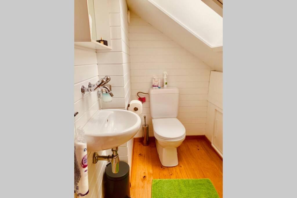 Charmant Et Lumineux Appartement Duplex A Charmey Eksteriør bilde